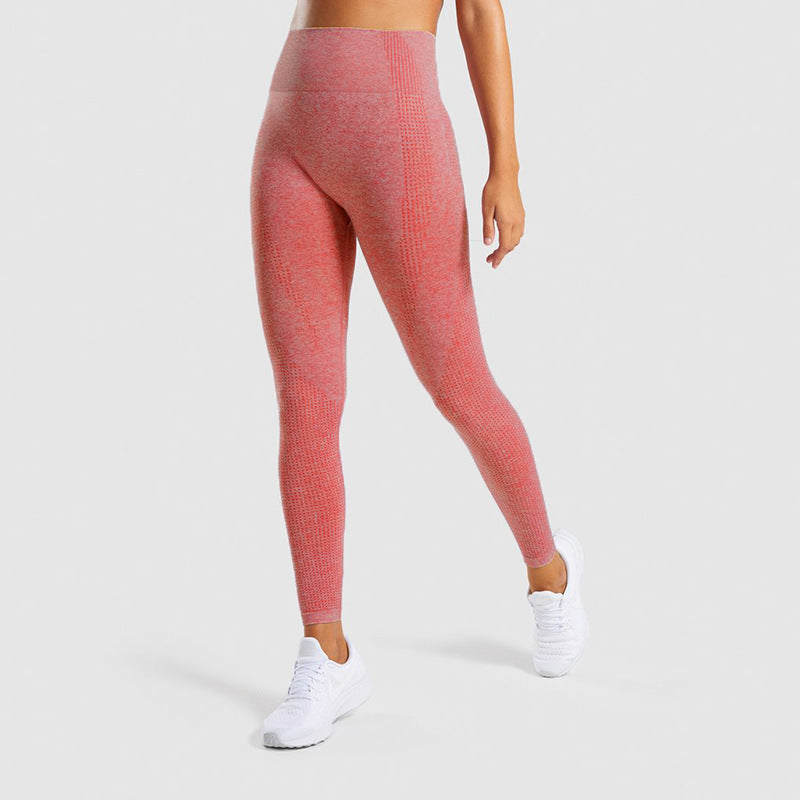 Seamless Jacquard Little Gym Pants Lady null