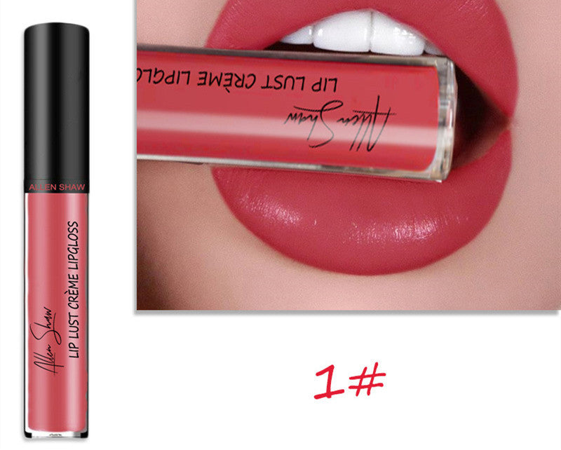 Silky Cream Texture Lip Gloss Aliexpress Shopee Cross-Border Exclusive Lip Glaze Lip Gloss Lipstick null