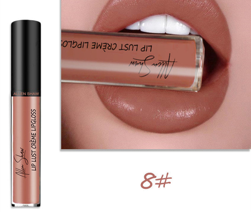 Silky Cream Texture Lip Gloss Aliexpress Shopee Cross-Border Exclusive Lip Glaze Lip Gloss Lipstick null