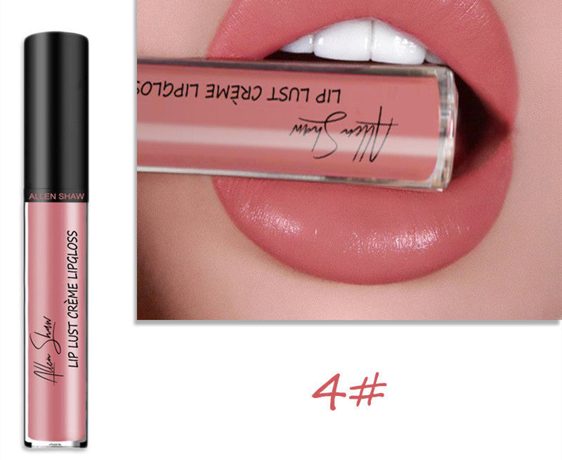 Silky Cream Texture Lip Gloss Aliexpress Shopee Cross-Border Exclusive Lip Glaze Lip Gloss Lipstick null