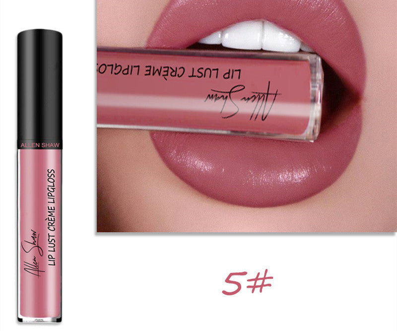 Silky Cream Texture Lip Gloss Aliexpress Shopee Cross-Border Exclusive Lip Glaze Lip Gloss Lipstick null