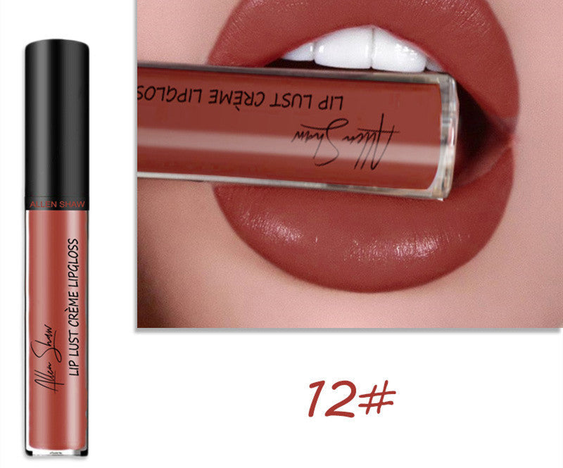 Silky Cream Texture Lip Gloss Aliexpress Shopee Cross-Border Exclusive Lip Glaze Lip Gloss Lipstick null