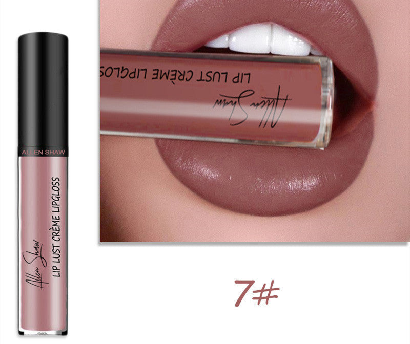 Silky Cream Texture Lip Gloss Aliexpress Shopee Cross-Border Exclusive Lip Glaze Lip Gloss Lipstick null