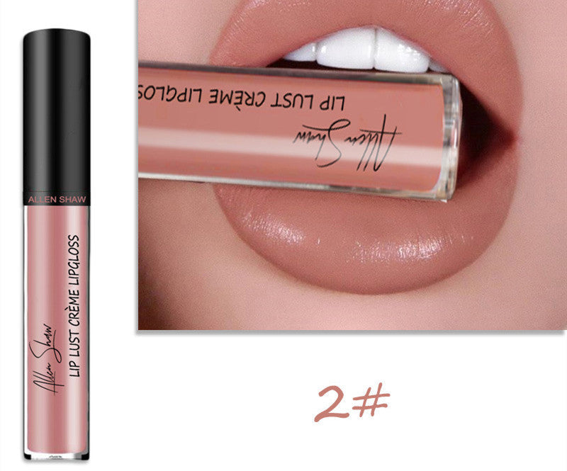 Silky Cream Texture Lip Gloss Aliexpress Shopee Cross-Border Exclusive Lip Glaze Lip Gloss Lipstick null