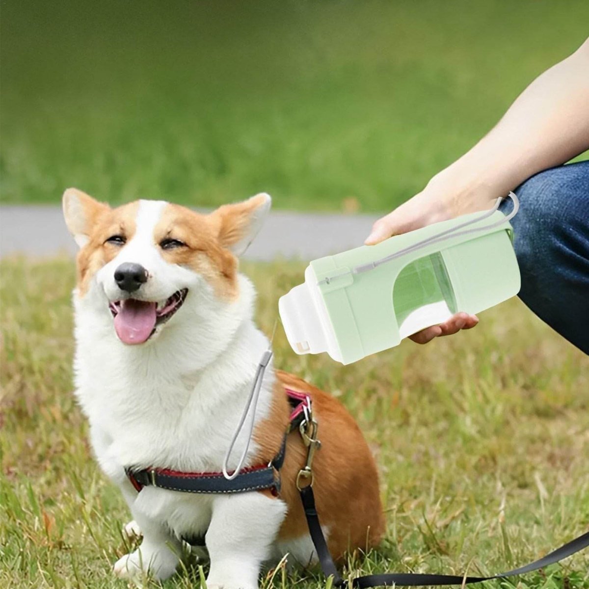 2 In 1 Travel Dog Water Bottle Pet Water Dispenser Feeder Drinking Feeder Dog Outing Water Feeder Pets Outdoor Portable Cup Pet Products - Update Avenue 