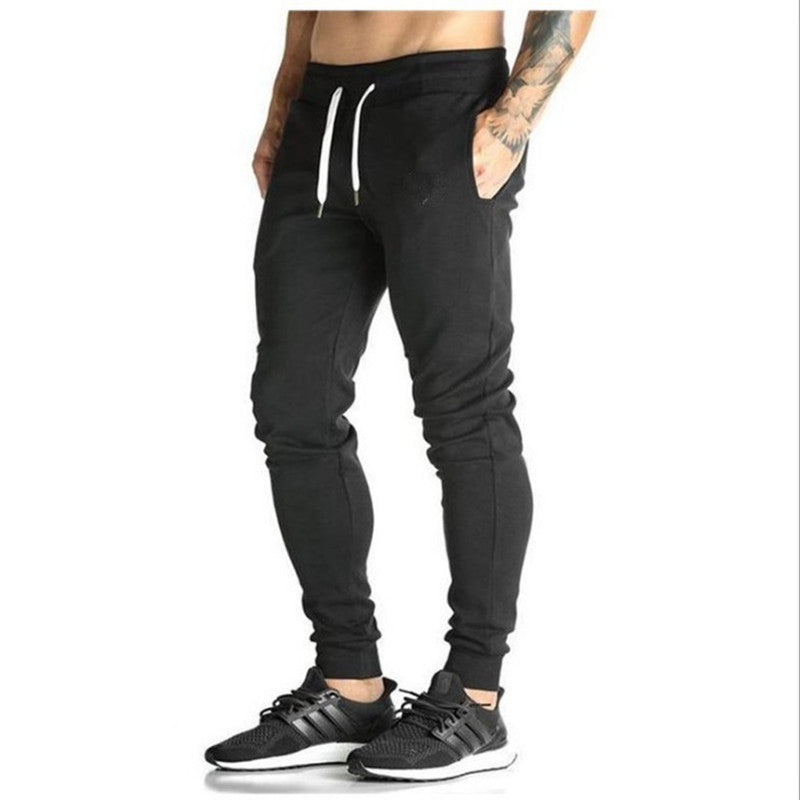 Sports and leisure fitness pants beam pants null