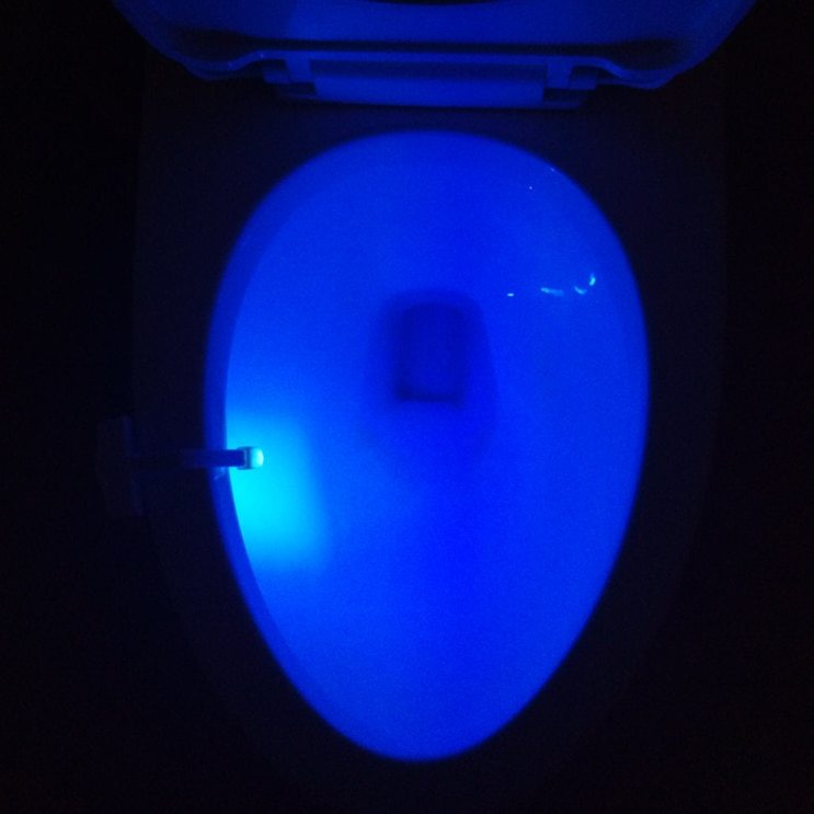 Toilet Induction LED Night Light null