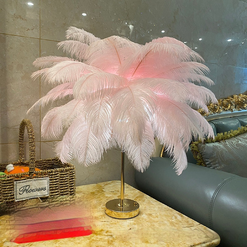 Natural Ostrich Feather Usb Charging Night Lamp Atmosphere Girls Bedroom Cozy True Feathers null