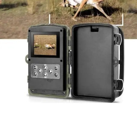 Wild hunting camera null