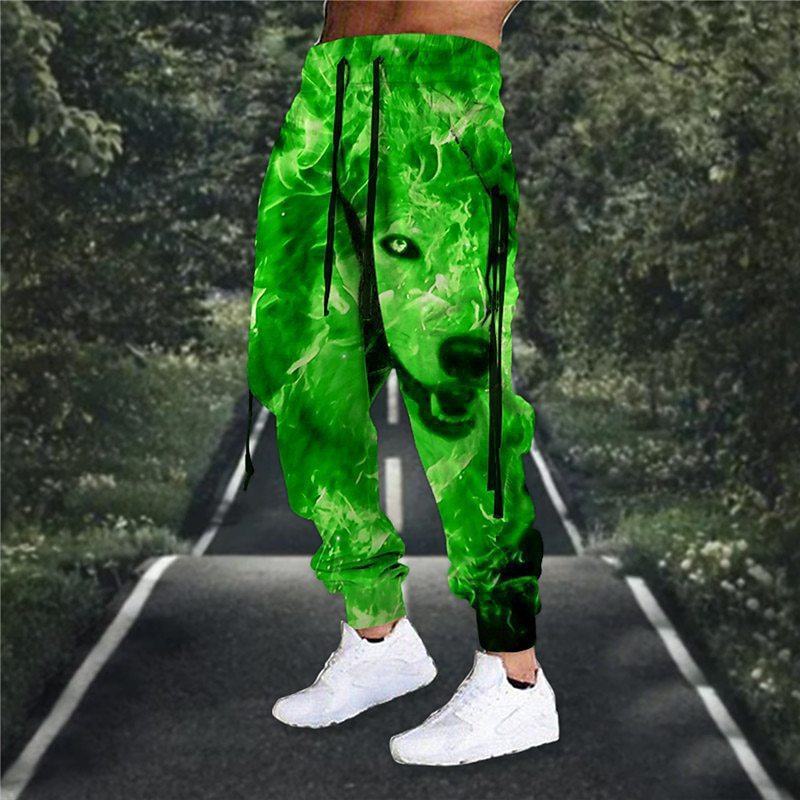 Drawstring Elastic Waist Retro Harem Pants With 3D Animal Print Mens Athletic Trousers