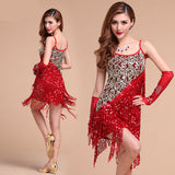 Adult Female Latin Dance Dress With Fringe Costume