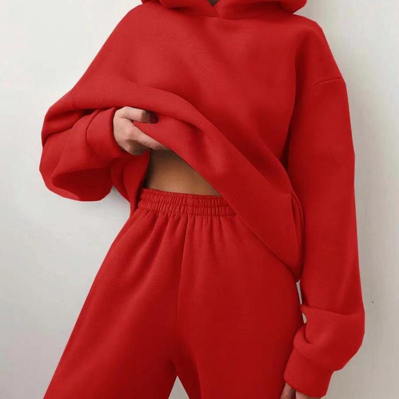 Women's Casual Hooded Sweater Two-piece Suit Clothes Hoodie Tracksuit null