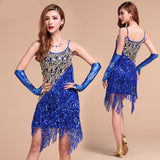 Adult Female Latin Dance Dress With Fringe Costume