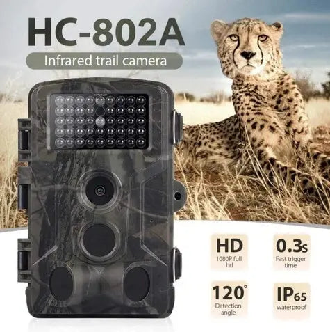 Wild hunting camera null