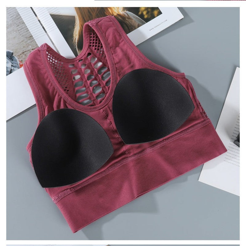 Women Sports Bra Sexy Brathable Mesh Sports Top null