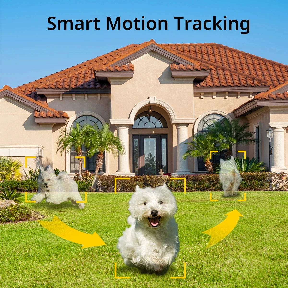 Trending Product Home Security Camera with 3W Solar Panel Color Night Vision PIR Detection Solar CCTV Ptz Camera