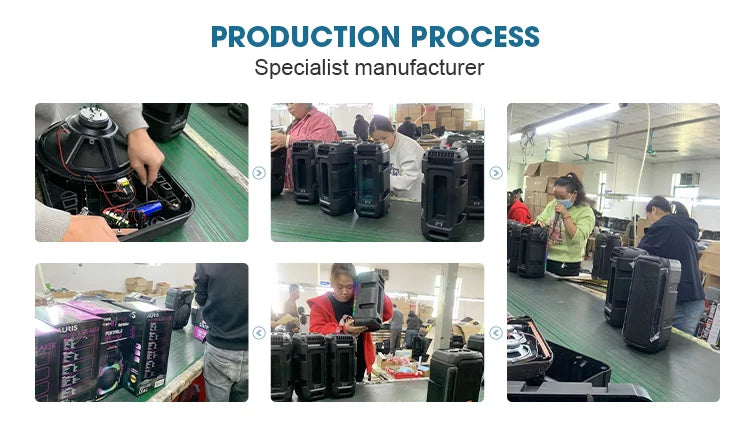 Speakers Professional Double 10 Inch Bass Speaker