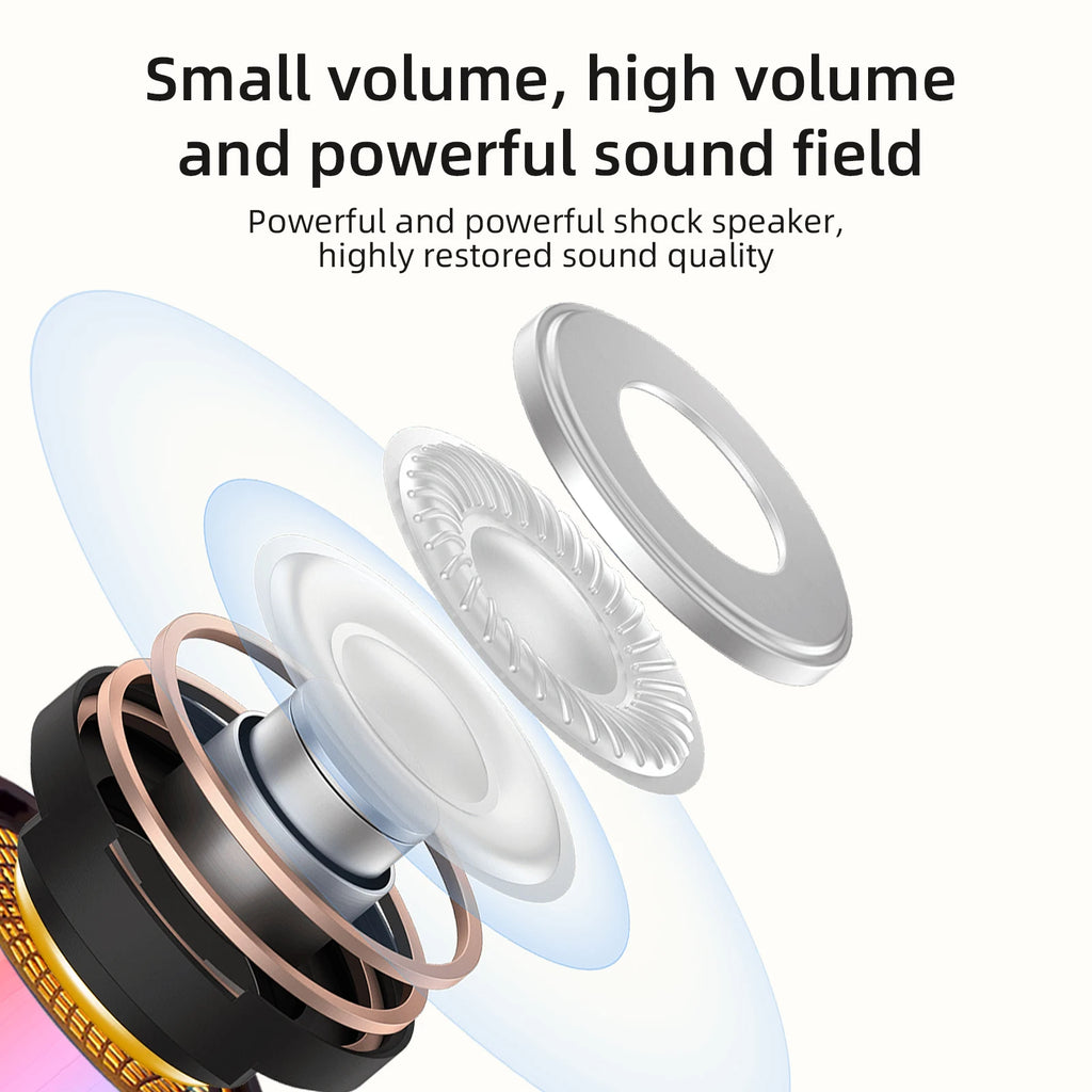 speakers microphone 5.3 bluetooth wireless Speakers with Mic Adjustable LED Lights Karaoke Machine  Wireless Karaoke Speaker