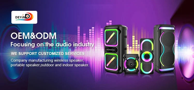 Speakers Professional Double 10 Inch Bass Speaker