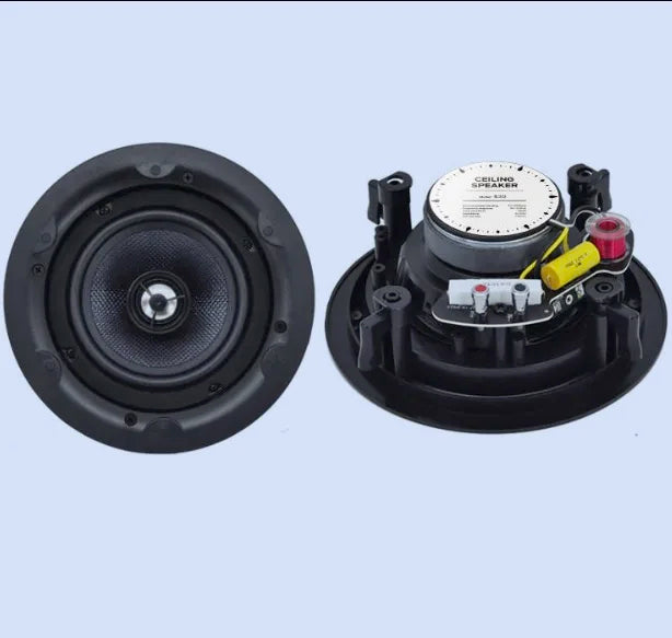 5 Inch Rimless Plastic Ceiling Speaker with 20W Power 2.0 Channel Home Theatre Use-Two-Way Audio Crossover & AirPlay Support