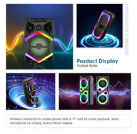 Caixa de Som Profissional Dupla com Woofer de 10 Polegadas