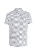 A Classic And Fashionable Diamond-shaped Small Checkered Shirt For Men