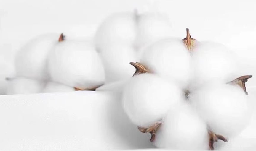 Couple Loose Letter Short Sleeve White Couple Loose Letter Short Sleeve - shop_name