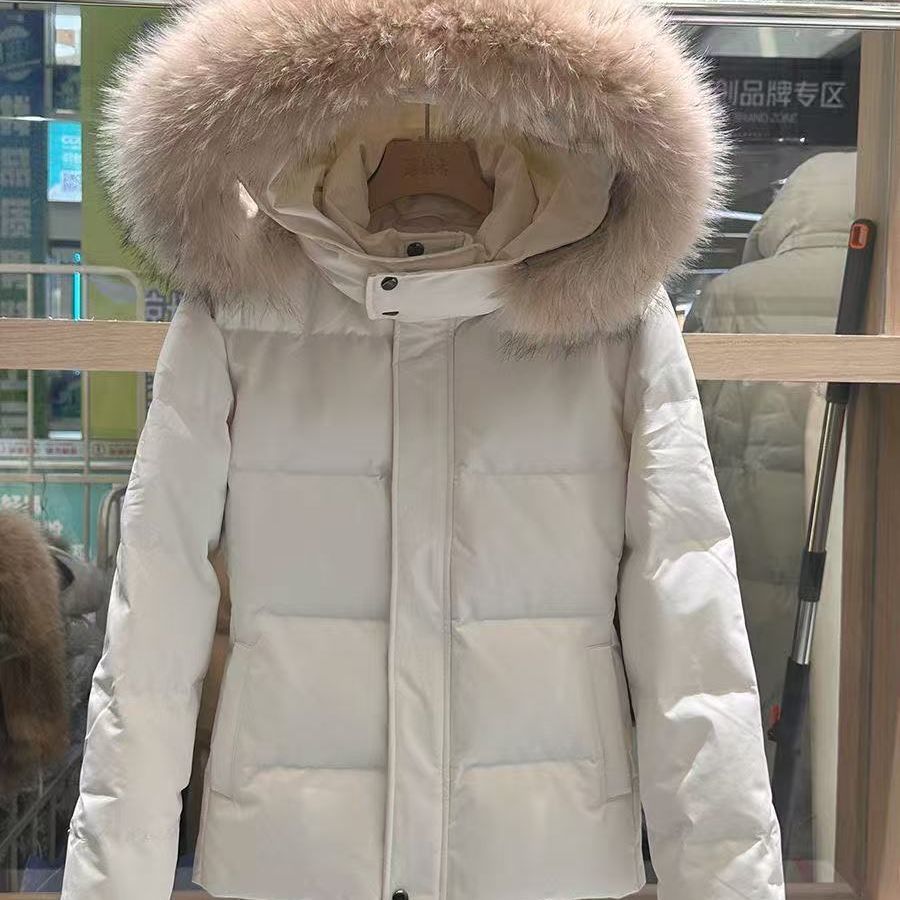 New Winter Short Detachable Padded Fur-collar Insulated Coat