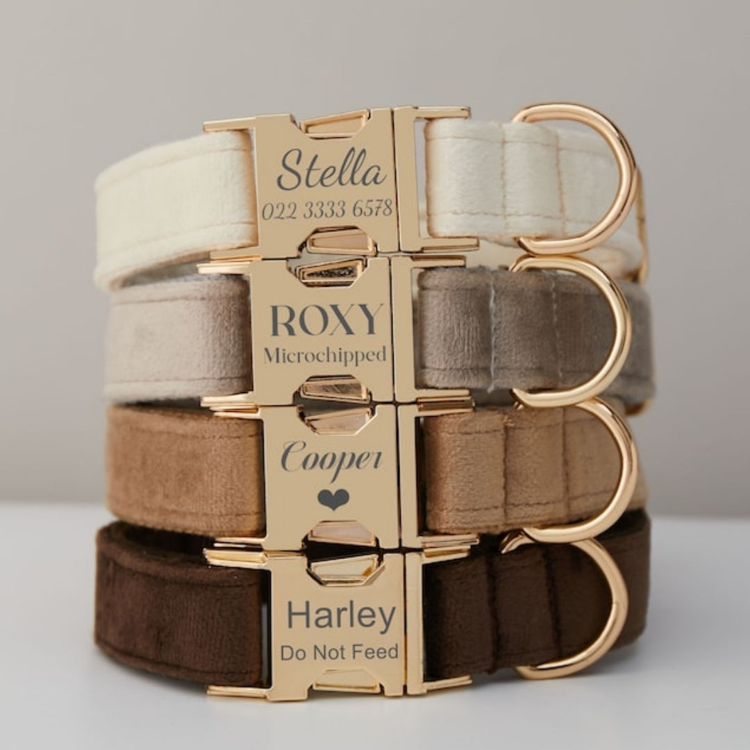 Ensemble collier et laisse en velours de plusieurs couleurs personnalisable pour chien avec nœud papillon