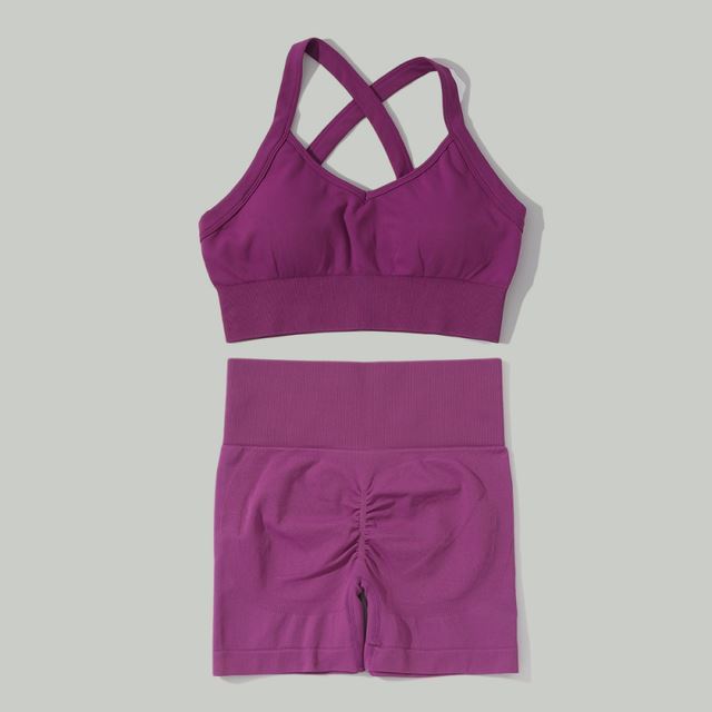 Yoga Set Vrouwen Gym Kleding Naadloze Sport Set Vrouwen Legg null