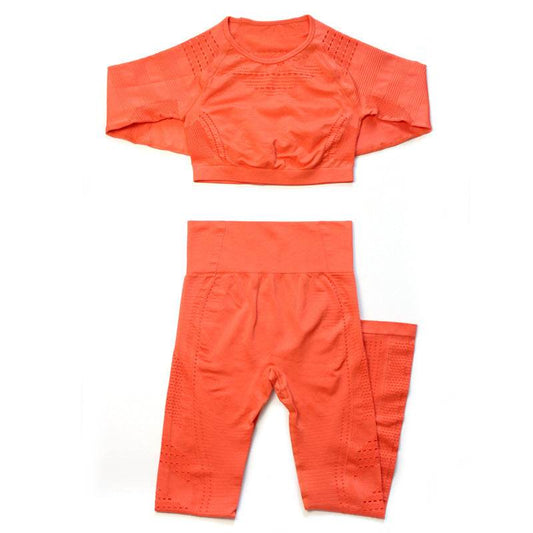 Seamless yoga gym suit - Update Avenue 
