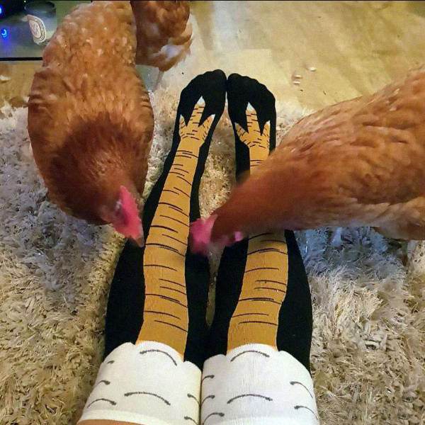 Spring And Autumn Knee Socks Funny Chicken Socks - Update Avenue 