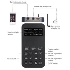 Mini voice changer sound card