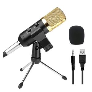 Reverb BM800 microphone