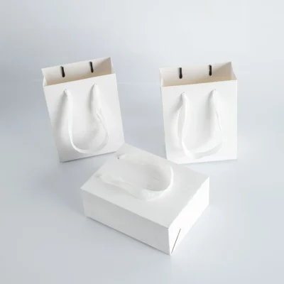 10pack Paper Bags with Ribbon Rope Kraft Handle  Take Away Wedding Birthday Party Shopping Packaging Bag Packaging