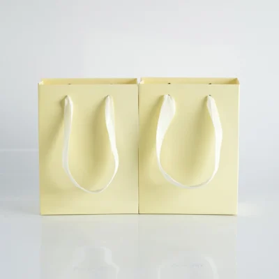 10pack Paper Bags with Ribbon Rope Kraft Handle  Take Away Wedding Birthday Party Shopping Packaging Bag Packaging