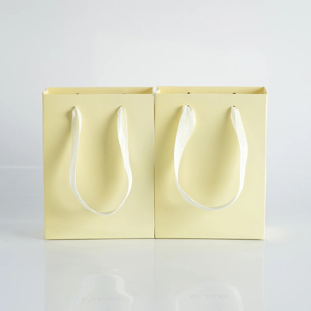 10pack Paper Bags with Ribbon Rope Kraft Handle  Take Away Wedding Birthday Party Shopping Packaging Bag Packaging