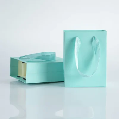10pack Paper Bags with Ribbon Rope Kraft Handle  Take Away Wedding Birthday Party Shopping Packaging Bag Packaging