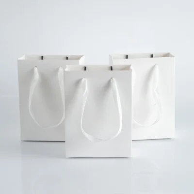 10pack Paper Bags with Ribbon Rope Kraft Handle  Take Away Wedding Birthday Party Shopping Packaging Bag Packaging