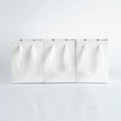 10pack Paper Bags with Ribbon Rope Kraft Handle  Take Away Wedding Birthday Party Shopping Packaging Bag Packaging
