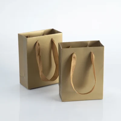 10pack Paper Bags with Ribbon Rope Kraft Handle  Take Away Wedding Birthday Party Shopping Packaging Bag Packaging