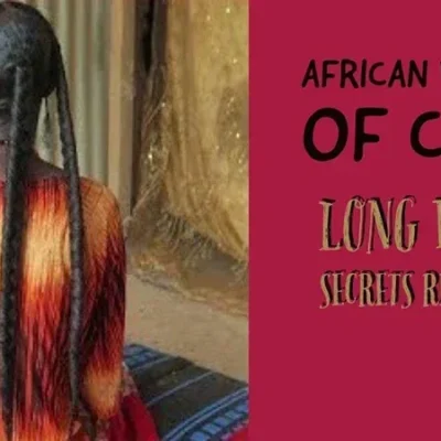 300ml Super Fast Hair Growth Shampoo Combining Africa Chad Chebe Powder Local Ingredients with Polygonum multiflorum