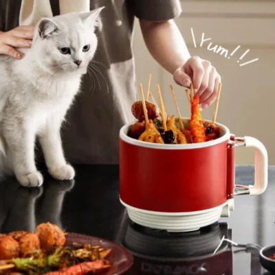 Multifunctional Electric Cooker Handle Foldable Electric Cooker