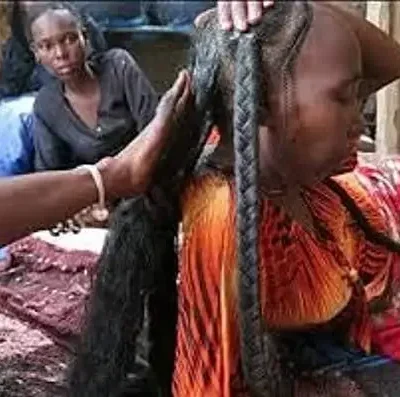 300ml Super Fast Hair Growth Shampoo Combining Africa Chad Chebe Powder Local Ingredients with Polygonum multiflorum