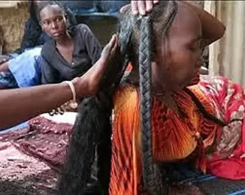 300ml Super Fast Hair Growth Shampoo Combining Africa Chad Chebe Powder Local Ingredients with Polygonum multiflorum